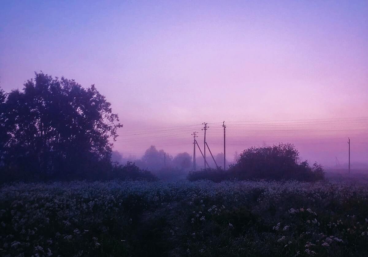 乐鱼-九游体育app官网:智慧下注,掌控每一场激情